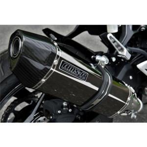 Ninja250：2022〜(8BK-EX250Y(2BK-EX250P) マフラー BEAMS ビ...