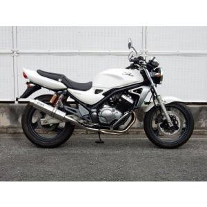 BALIUSII(2000) ラウンド/ステンレスサイレンサー フルエキゾースト  WR’S ダブル...