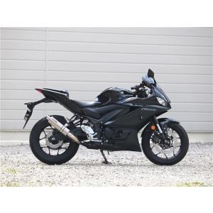 YZF-R25/MT-25 S.O.Vショートチタンオーバルソリッドタイプ   WR’S ダブルアー...