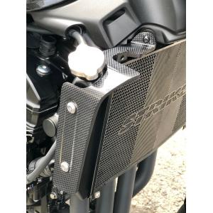 BEET製XJ400D サイドカバー 左右 銀 社外 中古 バイク 部品 激レア