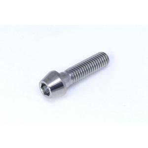 在庫有り ACTIVE アクティブ チタン テーパーボルト M10xP1.25 60mm(L) SC...