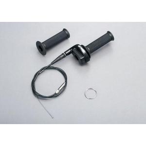 nsr 50.80用デイトナ！2極インナーローターセット!1000円値引。 nsr 50.80用デイトナ！2極インナーローターセット!1000円値引