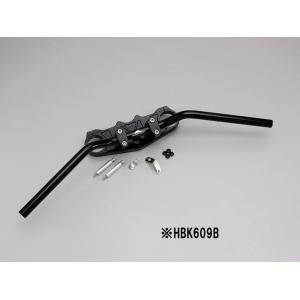 PROTEC（プロテック） ZRX1100(ZRT10C/97-00)用 シフトポジション