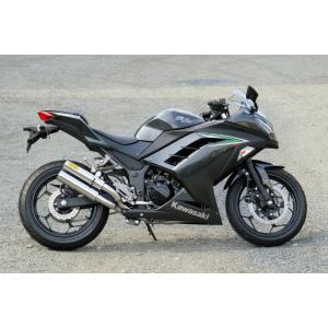 ツルノテクニカルサービス NINJA250 NINJA250R デュアルレーシング