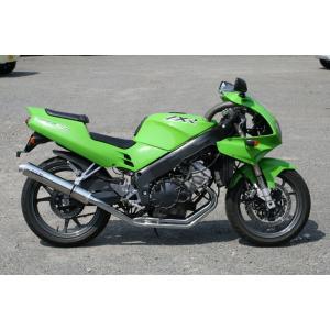 ZXR250/ZXR250R(ZX250A-D/89-99)用 RPM New4in2in1 フルエ...