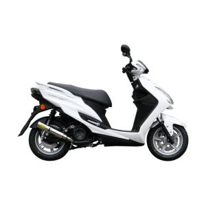 RPM 3038 マフラー フルエキゾースト ステンレス φ77×300 シグナスX125