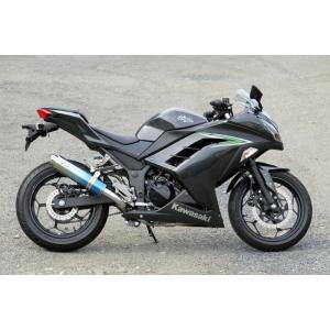 RPM バリオス/BALIUS-1(ZR250A/91-96)用 RPM DUAL右2本出し フル