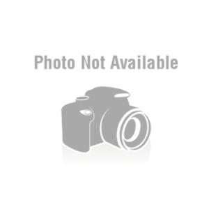 ARAI アライ SZ-RAM4X (SZ ラム 4X) EP システム内装 3-7mm 075788