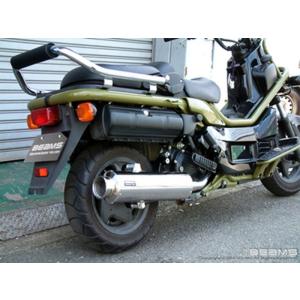 PS250 MF09 マフラー ROSSO ライネス 110φ 21-007-00 リアライズ