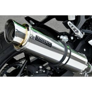 AKRAPOVIC（アクラポビッチ） スリップオンライン カーボン NINJA250