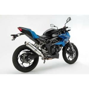 BEAMS ビームス バイク用 マフラー NINJA250 2018~ 2BK-EX250P R