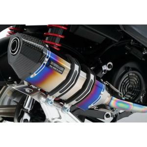 BEAMS（ビームス） シグナス X Fi EBJ - SE44J フルエキ フル