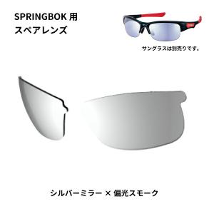 SWANS (スワンズ) UVカット サングラス L-SPB-0066 CSK (調光