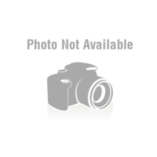 デイトナ DAYTONA バイク用 リプレイス オイルフィルター CBR250RR 等 オイル交換パ...