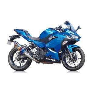 R's GEAR アールズギア バイク用 マフラー Ninja250(18-),Z250(19-) ...