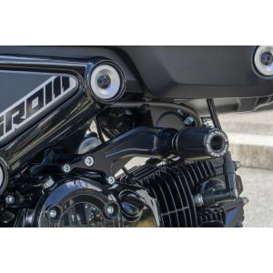 ACTIVE (アクティブ) バイク用 フェンダーレスキット ブラック LED