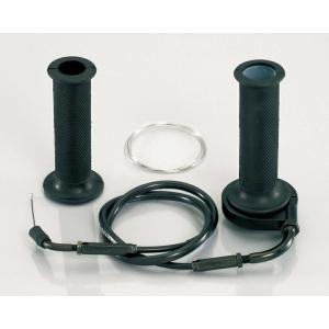 びぃです 高品質]ライブディオZX[AF35]ライブディオチェスタ/ライブディオ