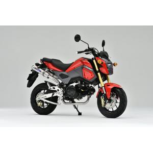 BMW S1000RR 10-14年フルエキマフラー エキパイ サイレンサー ドグ