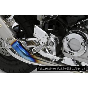 PMC PMC(ピーエムシー) ARCHI(アーキ) バイク用外装 ロングテール