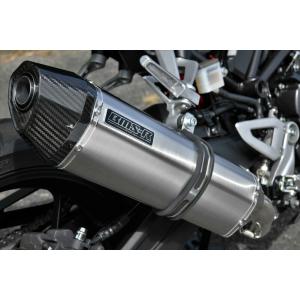 CB250R　BEAMS　スリップオン　マフラー　CORSA-EVOⅡ　ステン Webike | BEAMS ビームス CORSA-EVOII スリップオンマフラー