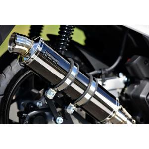BEAMS（ビームス） BEAMS G1015-54-005 (HONDA : PCX160 '23-) [8BK