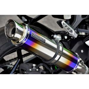 BEAMS ビームス バイク用 マフラー NINJA250 2018~ 2BK-EX250P R