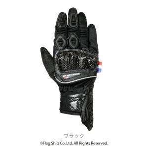 カワサキ（Kawasaki） 送料無料 BALIUS II / バリオス 2 ( ZR250B