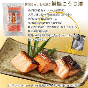 ギフト 贈り物 海鮮 漬魚 銀だら越後漬 鮭新...の詳細画像5