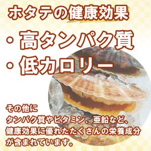 干し貝柱 ホタテ 乾燥ホタテ 干しホタテ 32...の詳細画像5