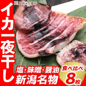 お歳暮 干物セット イカ一夜干し 冷凍 塩 4パック 8枚入 甘塩 1袋2枚