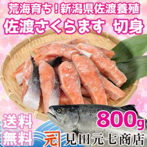 荒海育ち 佐渡さくらます 切身たっぷり800g  新潟 サクラマス