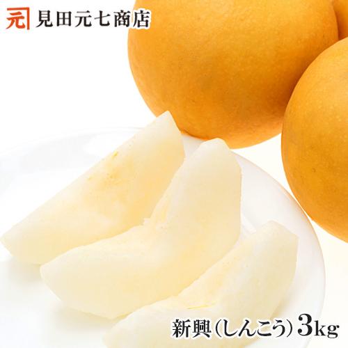 申込期間は12/15迄 梨 フルーツ 新潟市産 新興（しんこう）3kg 送料無料 和梨 新潟県産 新...