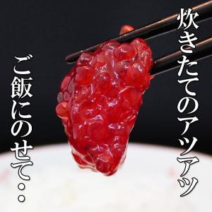 訳あり 筋子 塩筋子 すじこ 400g メガ盛...の詳細画像2
