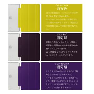 選べる全30色 iPad ケース 第10世代 ...の詳細画像5