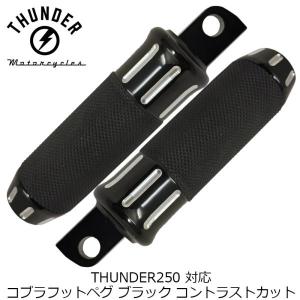 THUNDERBIKE（サンダーバイク） WirusWin THUNDER250 (XL250S