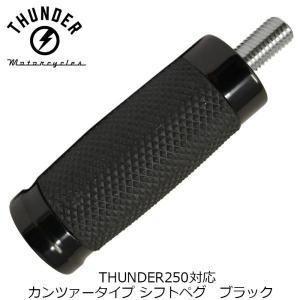 THUNDERBIKE（サンダーバイク） WirusWin THUNDER250 (XL250S