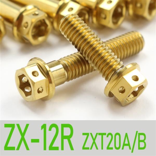 ▽ZX-12R ZXT20A/B チタンボルトセット 右側/クラッチエンジンカバー レーススペックタ...