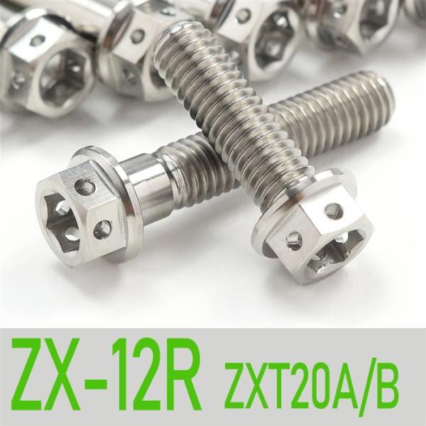 ▽ZX-12R ZXT20A/B チタンボルトセット 右側/クラッチエンジンカバー レーススペックタ...