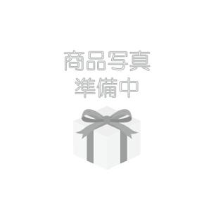 ARCHI アーキ BIGステムエンブレム＆ステーセット Kawasaki小文字 ゴールド Z900...
