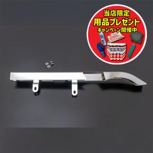 ACP（エーシーピー） ロゴ入り メッキチェーンケース Z1 (900SUPER4