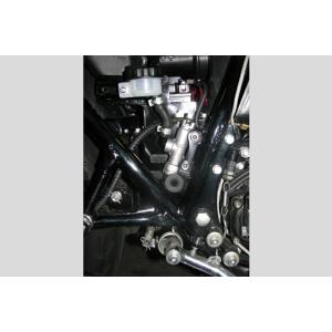 PMC ピーエムシー APレーシング(旧ロッキード)CP2696 リア