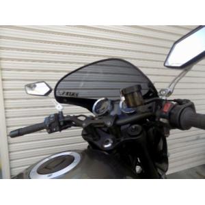 アクリポイント 4580423291514 品番170061 Kawasaki Z900RS CAFE