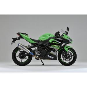 OVER オーヴァー TT-Formula RS+PRO フルチタン 2-1マフラー Ninja250(18-22)｜motoism