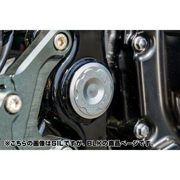 OVER オーヴァー ピボットホールプラグ ブラック Z900RS