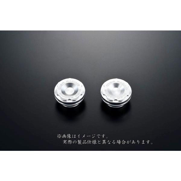 OVER オーヴァー ピボットホールプラグ シルバー ZX-25R(20-22)(23-25)・ZX...