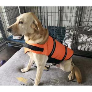 犬用 ライフジャケット 救命胴衣 浮き輪 ライ...の詳細画像2