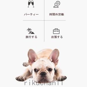 自動給餌器 自動餌やり機 猫 犬用 6食分 タ...の詳細画像1