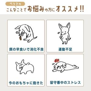 【新登場】自動給餌器 犬 知育玩具 知育 おも...の詳細画像1
