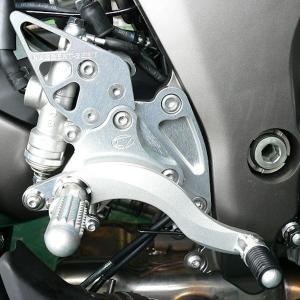 BEET 日本ビート工業 0111-KD6-20 ハイパーバンク KAWASAKI Ninja1000/Z1000 ABS専用 シルバー 固定式｜motokichi