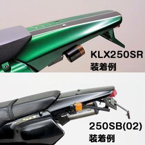 DAYTONA（デイトナ） 41169 アップリアフェンダー&テールランプ TRP製